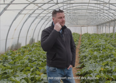 Qu'est-ce qui rend nos terres provençales aussi propices pour nos légumes ?